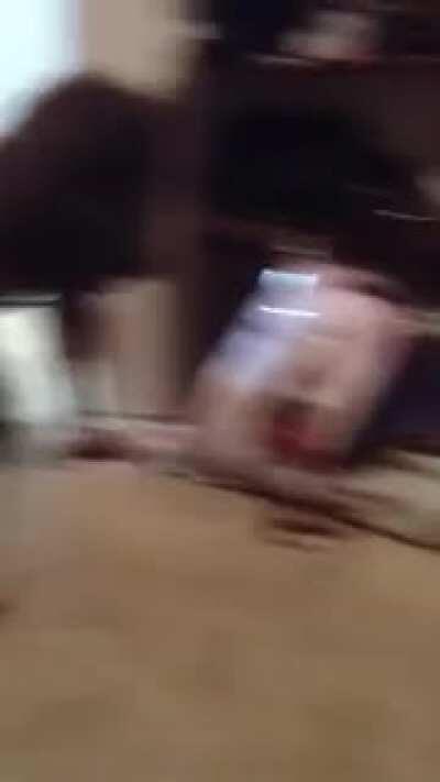 Вспомним легенду😂(звук)