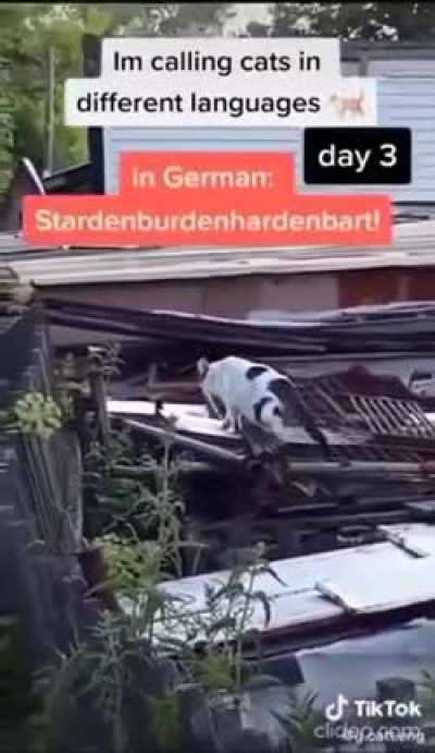 Жёрман олвейз воркс.