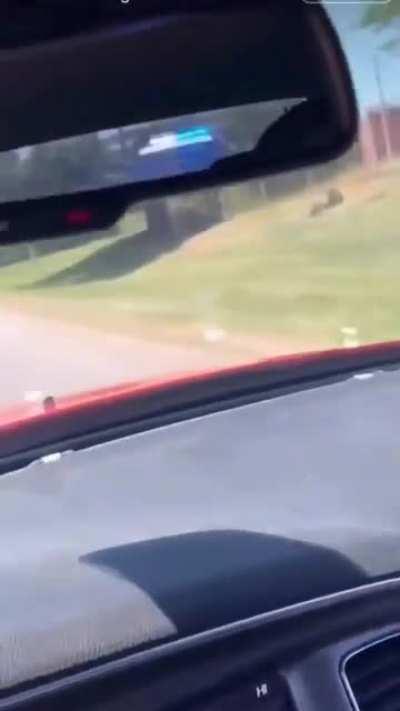 why would you film yourself doing something like this