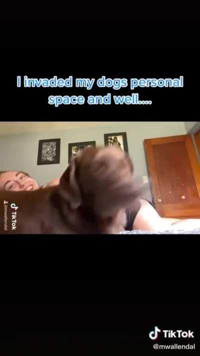 He said Nope nope nope