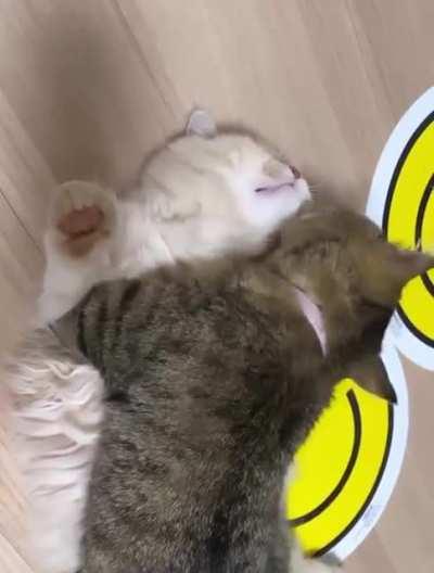 my love I won't let you go anywhere 😍