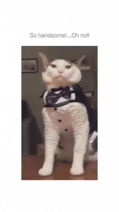 wcgw posing for the camera