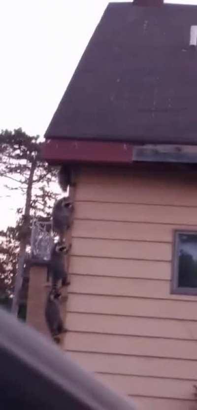 Y'aura du monde à la réception