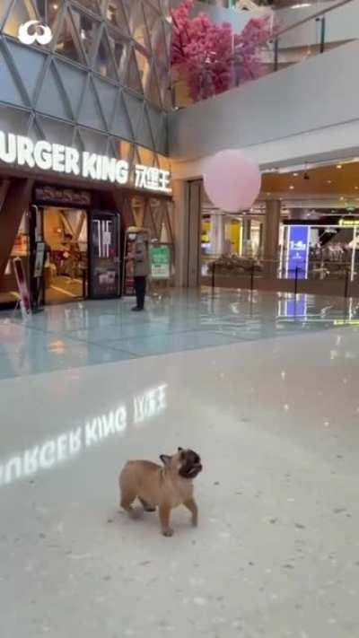 This is what true happiness looks like...