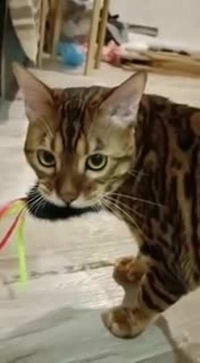 Что простите?