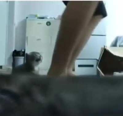 Zyada kuch nahi, bro have 0 survival instinct 