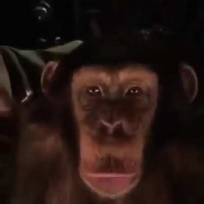 WHOS TOES ARE THOSE!!!!!!!!!!!