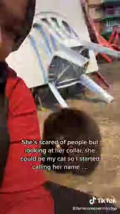 She found her cat, after a year of searchin