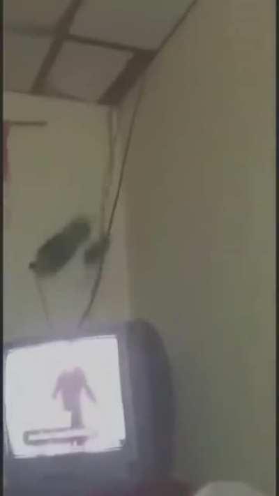 I will post the gunsmith loadout at the comment section.