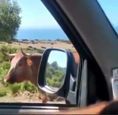 Ante la duda, pregunta