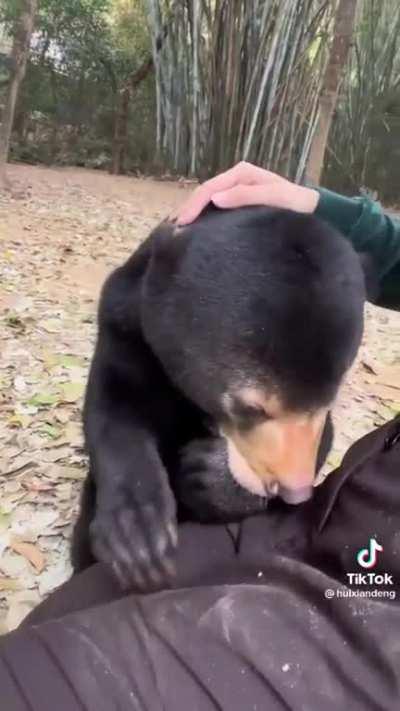 Poor baby wants his momma