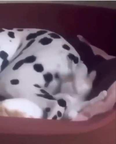 when happiness strikes