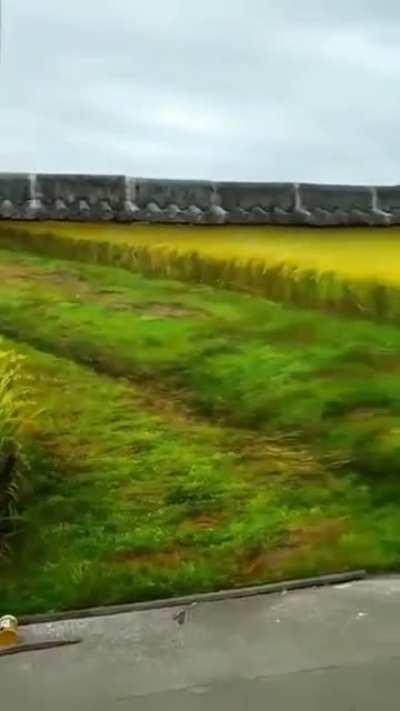 This took a while...