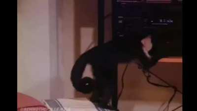 It fits any song you put on.