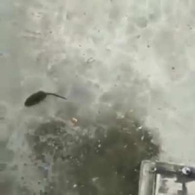 Twitch vs Malphite EPIC BATTLE!!!