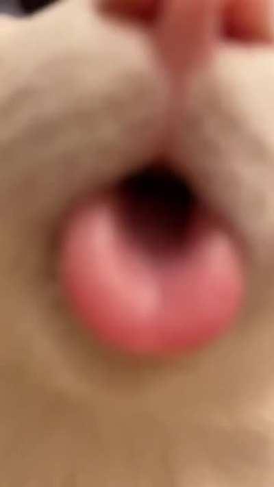 MY CAT HAS STOPPED RESPONDING. HELP!