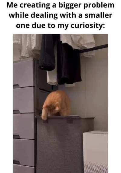 How much curiosity is too much: