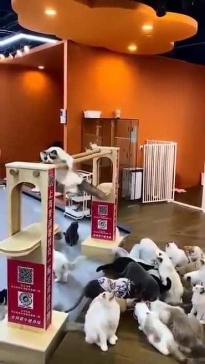 Fitness is my Passion