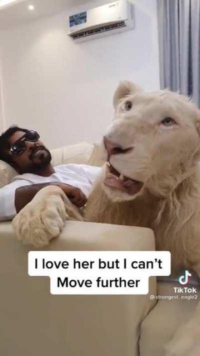 Having this as your pet