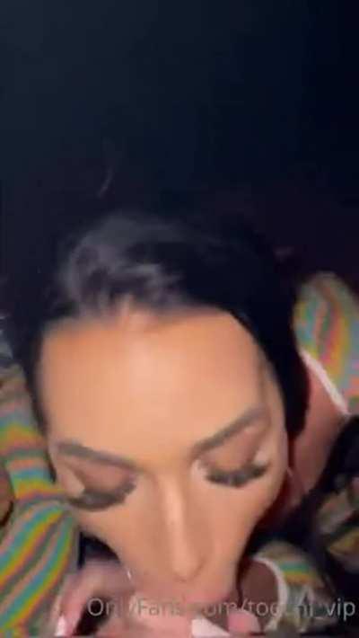 Basically a Literal Dream…