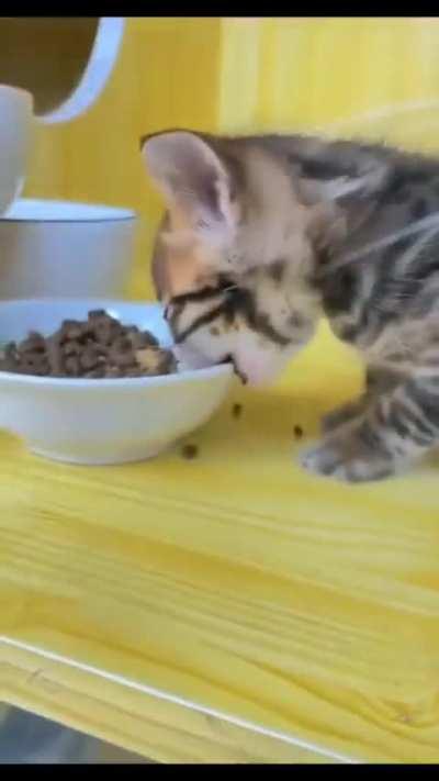 My desire to eat after a workout