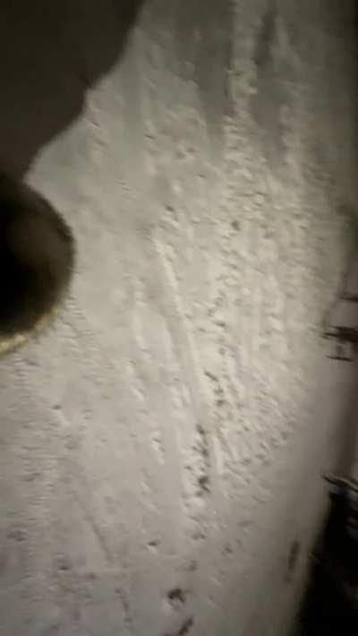 I suck dick anywhere and anytime