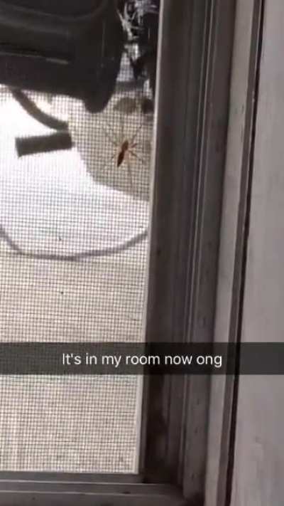 I try to show people this sometimes and they never think it's as funny as I do 