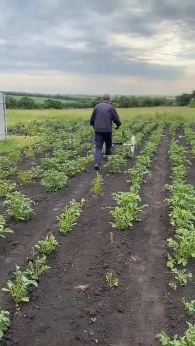 The farmer who found a way to get rid of agricultural pests without using pesticides. This is brilliant and they are still alive.