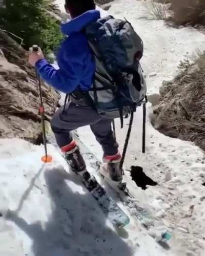 Is his buddy a chimp?!