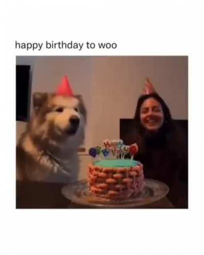 Happy birthday to woo
