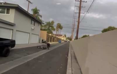 Found this video on FB marketplace