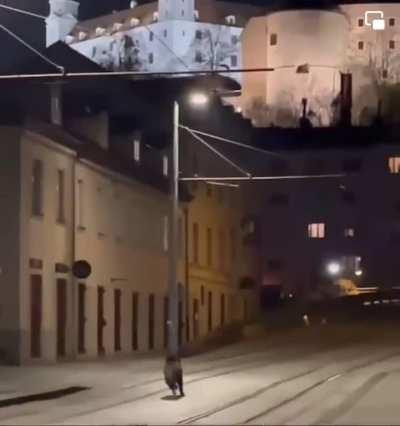 Meanwhile in the Bratislava centre this weekend