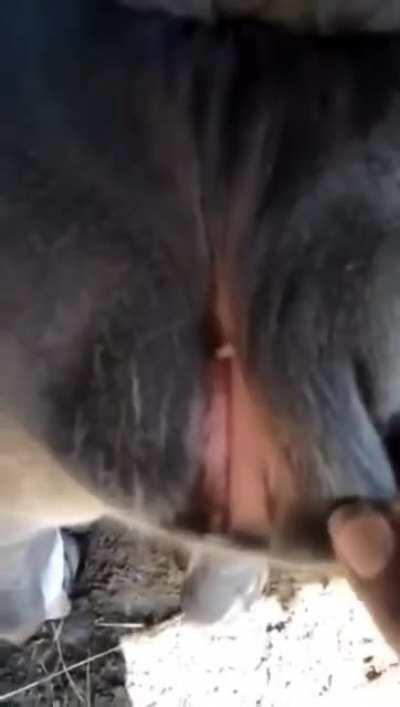 基础建设之吹牛逼