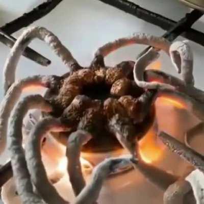 what are these pills?