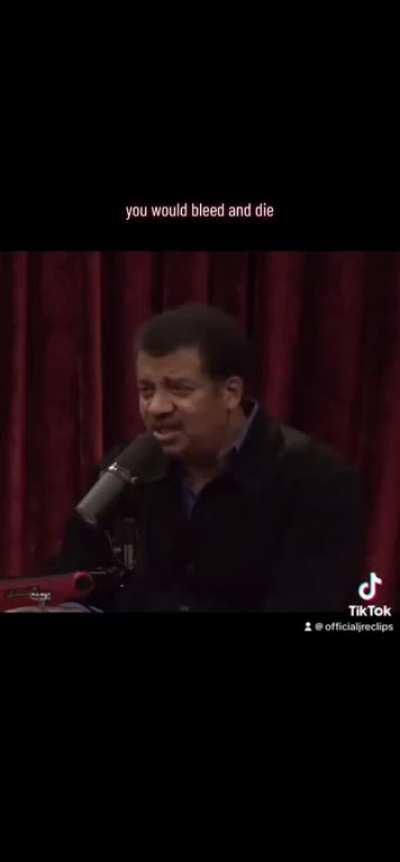 The Toe Rogan Experience