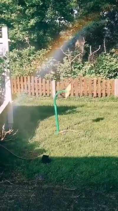 Uhh, papyrus? Did you get flowey into metal?