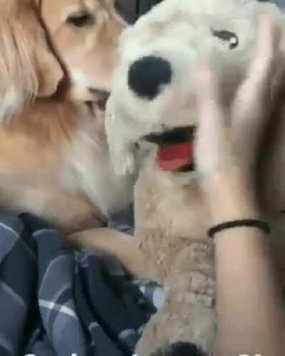 Jealousy Characteristic