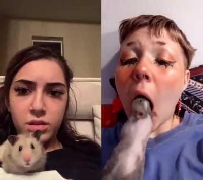 What the hell is wrong with these people?