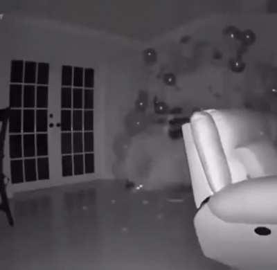 when you leave the cat unattended