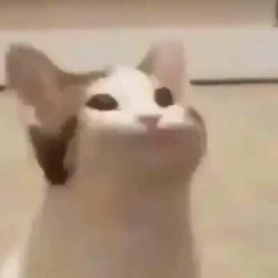 Look at this wonderful video it is the law