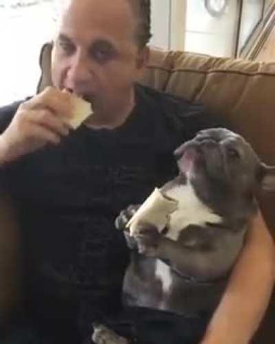 My dad: I don't want dogs in this house .. My dad a month later: