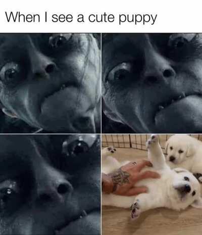 Intensity intensifies