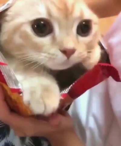 What kind of flavour is this?