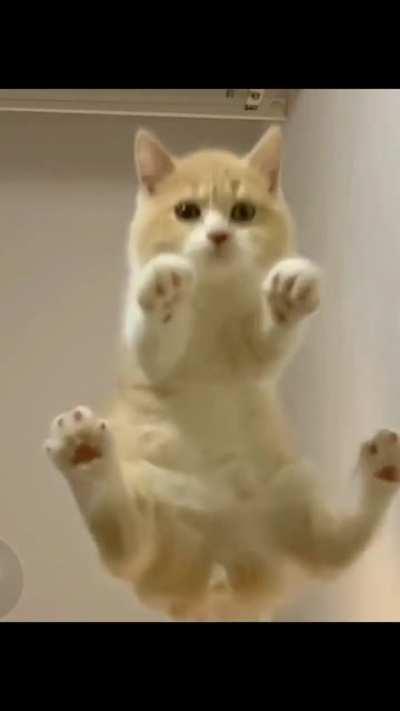 I love them, sooo sweet and cute 😍😂