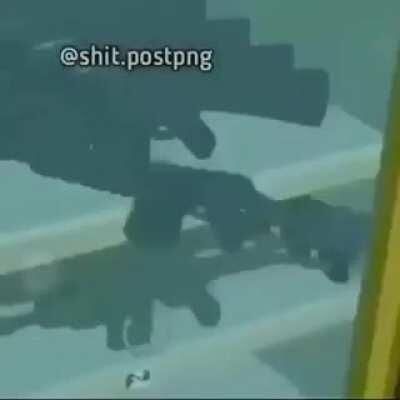 não sei parece veridico