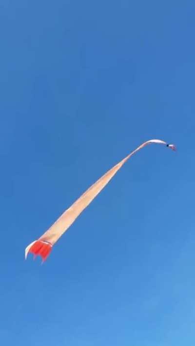 The 3 y old kid gets yeeeted by the kite, but survives.