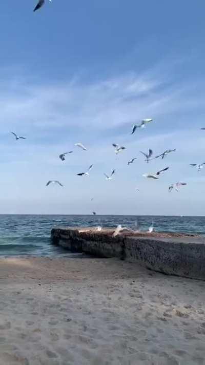 Ты не ты, когда голоден