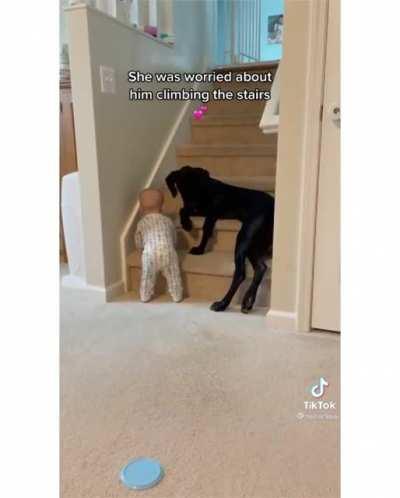 Stoping a baby from climbing the stairs