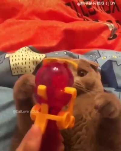 So early from catnip..