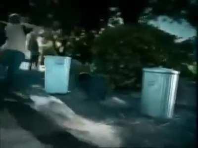 lilboredx - Video #1590